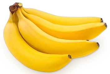 banana exporters from india - Jesvil Corporation