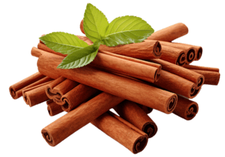 Cinnamon Manufacturers in India 2026 | Premium Export Sticks