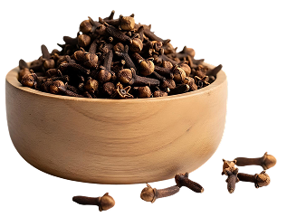 cloves manufacturers in India - Jesvil Corporation