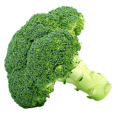 Broccoli - organic export from india