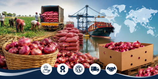 Onion export from India showing fresh red onions, farmers harvesting, quality-packed onion sacks, transport, shipping containers and global export markets.